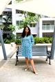 Gulika Handblock Smocked Short Dress